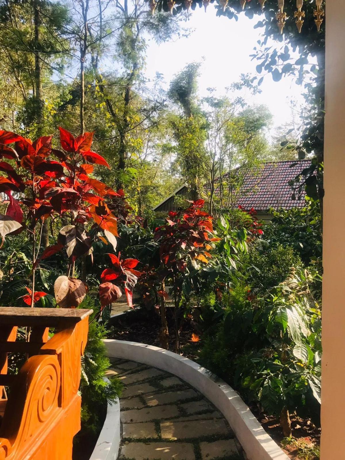 Coorg Orange Blossom Resort And Spa Suntikoppa Exterior photo